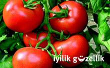 Akciğer kanserine karşı domates yiyin