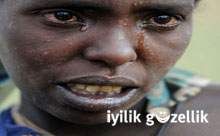 Somali için timsah gözyaşları