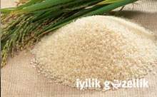 GDO'lu pirinç/acı pirinç