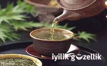 H3N2 virüsüne karşı bitki çayı