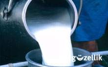 Süt ürünlerinde kayıtdışı üretim yüzde 40