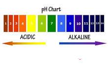 Yaşam terazisinde pH dengesi