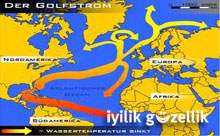 Gulf Stream ölüyor!