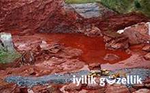 Karadeniz’e kızıl çamur tehdidi