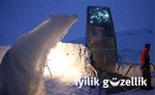  ‘Kıyamet Ambarı’ Svalbard
