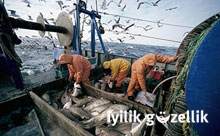Avrupa balıklarını kurtarmak istiyor